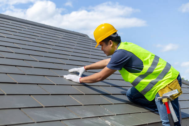 Best Storm Damage Roof Repair  in Alpine, NJ