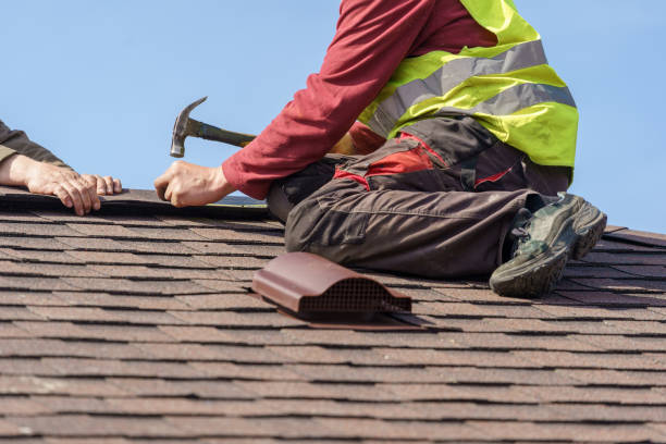 Best Roof Gutter Cleaning  in Alpine, NJ