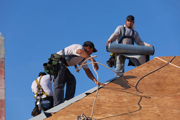 Best Roof Leak Repair  in Alpine, NJ